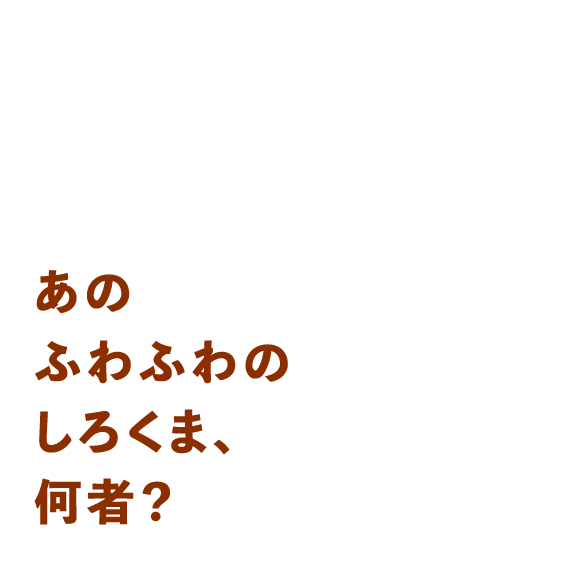 あのふわふわのしろくま、何者？