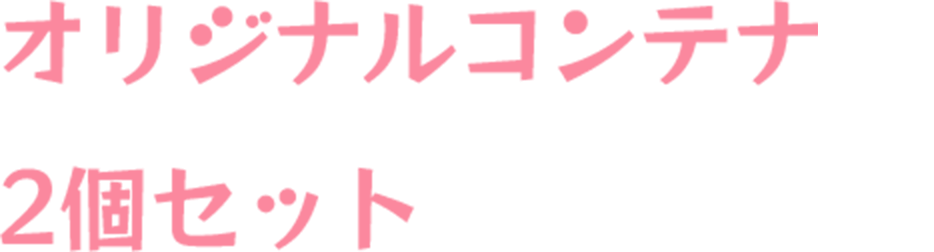オリジナルコンテナ2個セット