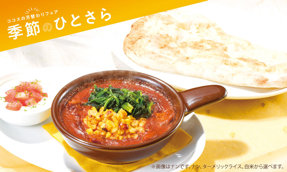 chicken_curry2308.jpg