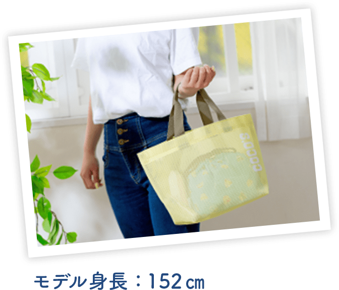 モデル身長：152cm