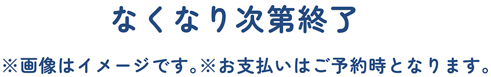 なくなり次第終了　※画像はイメージです。※お支払いはご予約時となります。